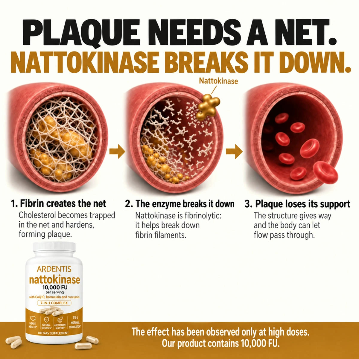 Nattokinase 10,000 FU