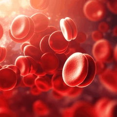 Blood sugar support